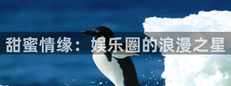 极悦注册：甜蜜情缘：娱乐圈的浪漫之星