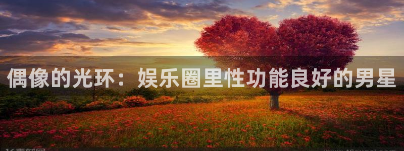 极悦注册：偶像的光环：娱乐圈里性功能良好的男星