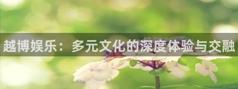 极悦注册：越博娱乐：多元文化的深度体验与交融