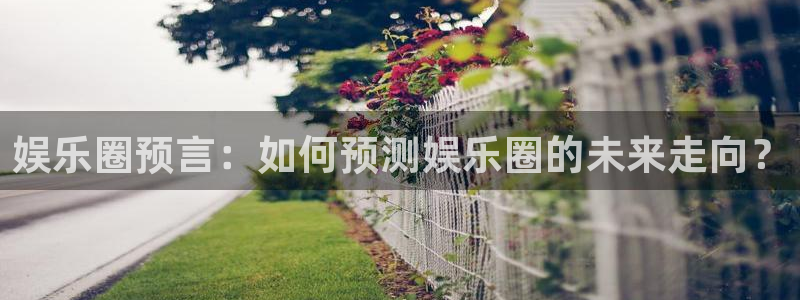 极悦娱乐下载：娱乐圈预言：如何预测娱乐圈的未来走向？
